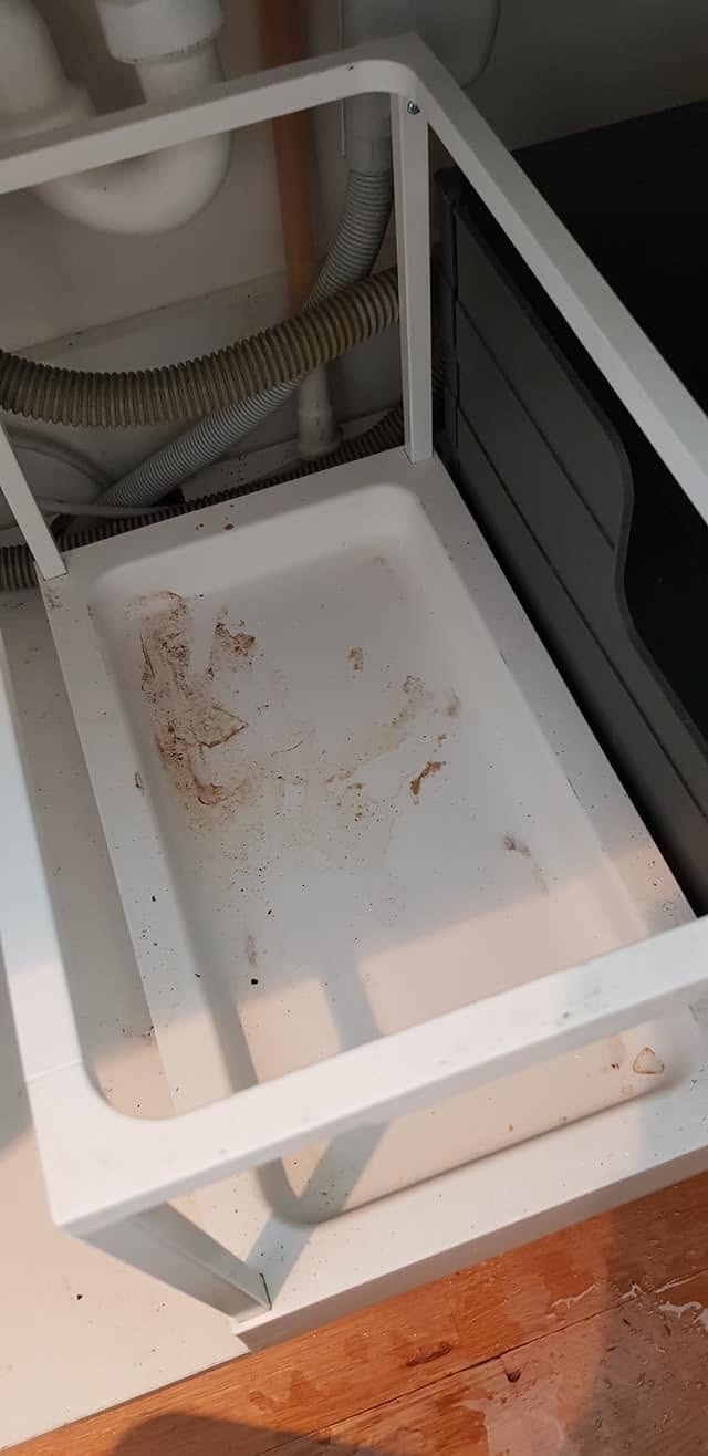 En avfallsbeholder under kjøkkenbenken med synlig smuss før rengjøring i Drammen.